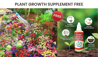 Quirk Mart Blossom Bliss Flower Seeds (Pack of 100) And Get Plant Growth Supplement Free
