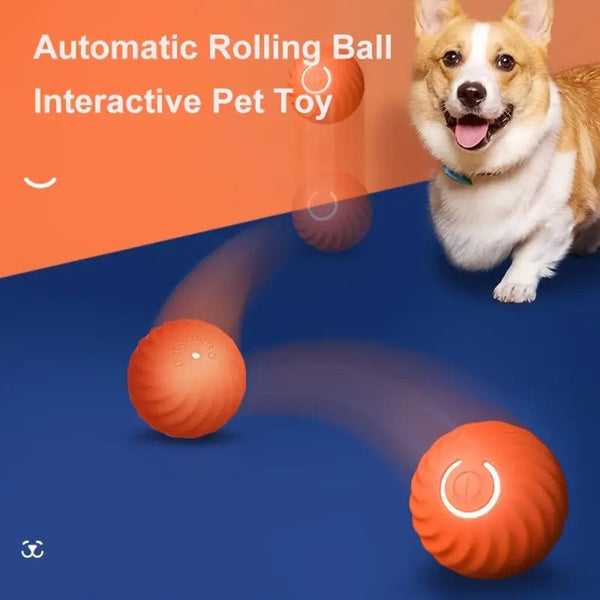 Automatic Smart Teasing Pet Ball 🐶