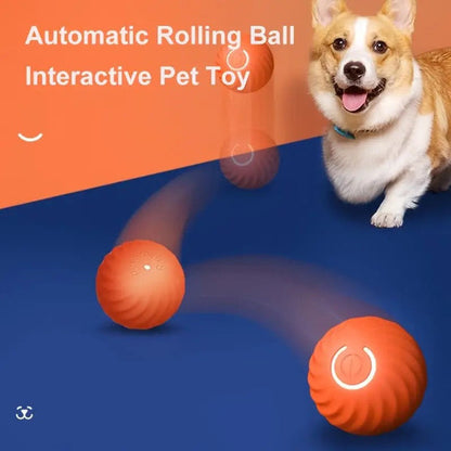 Automatic Smart Teasing Pet Ball 🐶